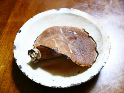 P1010455.jpg