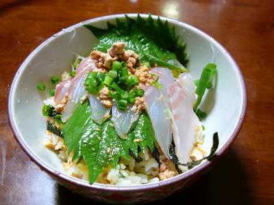 P1010457.jpg