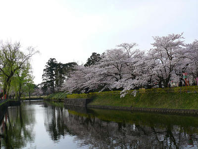 P1020267.jpg
