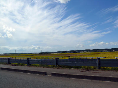 P1030251.jpg