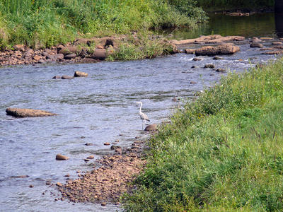 P1030259.jpg