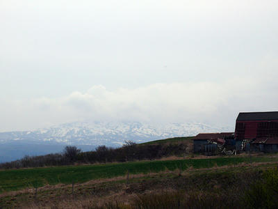 P1040436.jpg