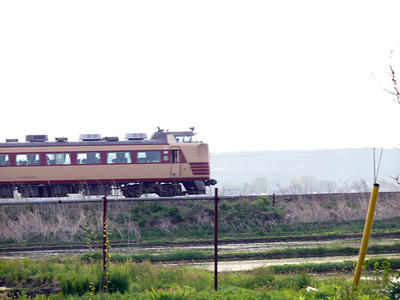 P1040443.jpg