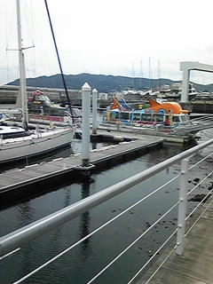 090313_112945.jpg