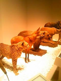 100314_143349.jpg