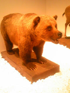 100314_143505.jpg