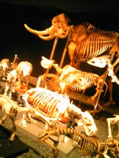 100314_144743.jpg