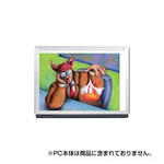 Angel Dog.9-12.1型