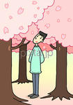 桜・桜の木・桜満開・桜の花びら・花見