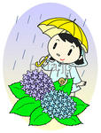 入梅・ 梅雨・梅雨入り・紫陽花・雨・雨傘