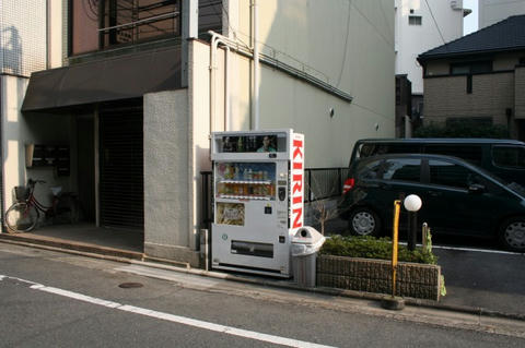 IMG_6962.jpg