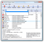 Soft191 Process Viewer2