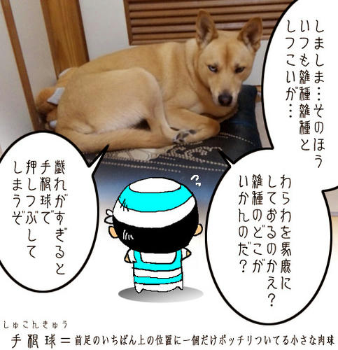 d7f1447d.jpg