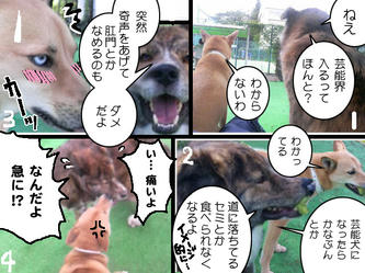 2011082010490000b.jpg