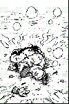 754a3011.GIF