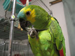 IMG_4535.jpg