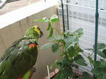 IMG_4556.jpg