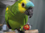 IMG_4641.jpg