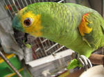 IMG_4687.jpg