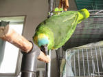 IMG_4833.jpg