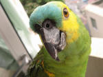IMG_4995.jpg