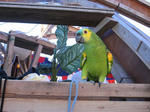IMG_5241.jpg
