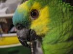 IMG_5370.jpg
