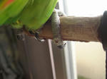 IMG_5599.jpg