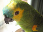 IMG_5603.jpg