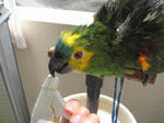 IMG_6011.jpg