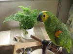 IMG_6227.jpg