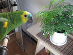 IMG_6261.jpg