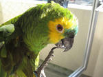 IMG_6372.jpg