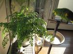 IMG_6393.jpg