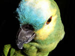 SBSH0025.jpg