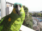 IMG_6604.jpg