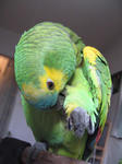 IMG_6684.jpg