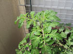 IMG_6772.jpg