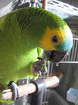 IMG_6784.jpg