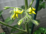 IMG_7072.jpg