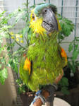 IMG_7142.jpg