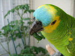 IMG_7151.JPG