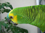 IMG_7192.JPG