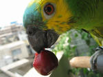 IMG_7473.jpg