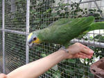 DSCF1651.jpg