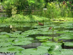 IMG_7845.jpg