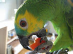 IMG_7566.jpg