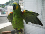 IMG_8073.jpg