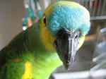 IMG_8149.jpg