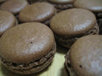 IMG_8743.jpg